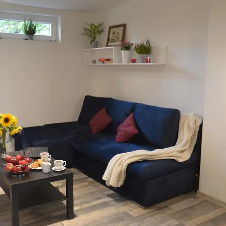 Apartament King Jagiello *